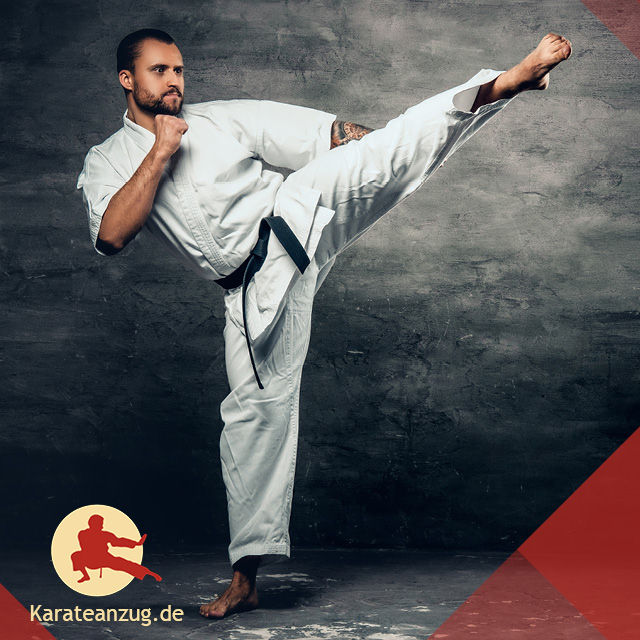 Karate Kata Kumite 17 03